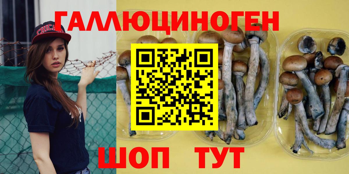 Янаул  Галлюциногенные грибы мицелий  Вход с VPN 