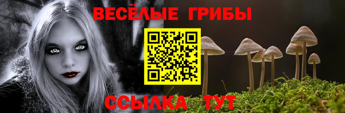 Псилоцибиновые грибы Cubensis Янаул